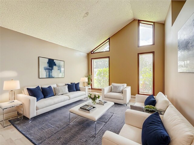 living room featuring high vaulted ceiling, wood-type flooring, and a textured ceiling