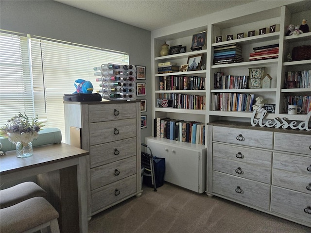 interior space featuring carpet and a textured ceiling