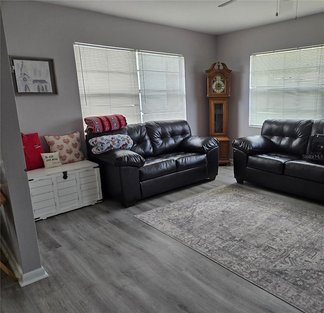 living room featuring ceiling fan and wood finished floors