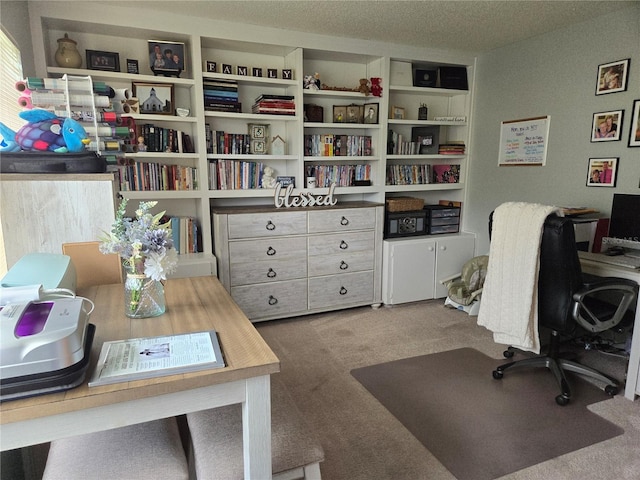 carpeted office with a textured ceiling