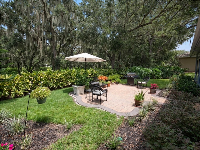 view of yard with a patio area