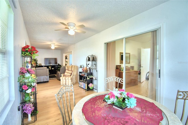 dining area with ceiling fan, light hardwood / wood-style floors, and a textured ceiling