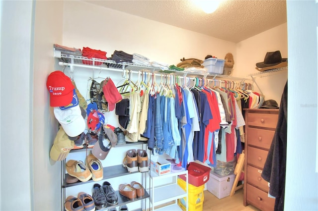 spacious closet with light hardwood / wood-style floors