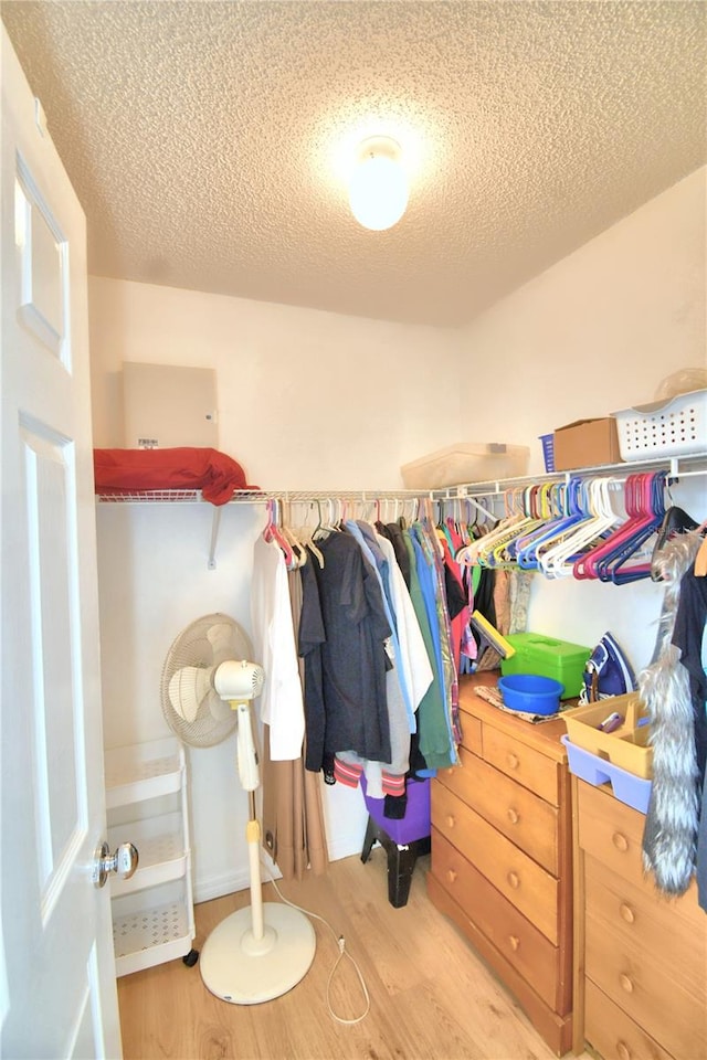 spacious closet with light hardwood / wood-style flooring