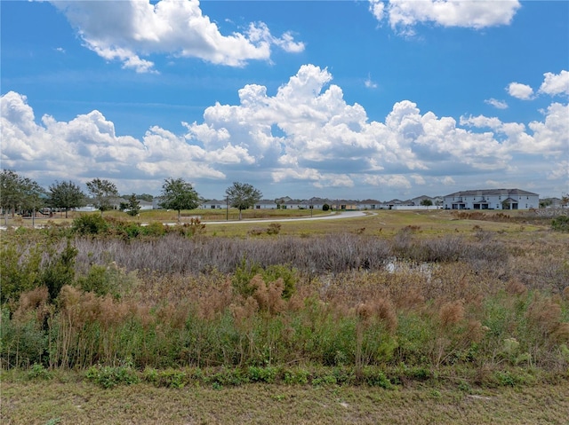 view of local wilderness