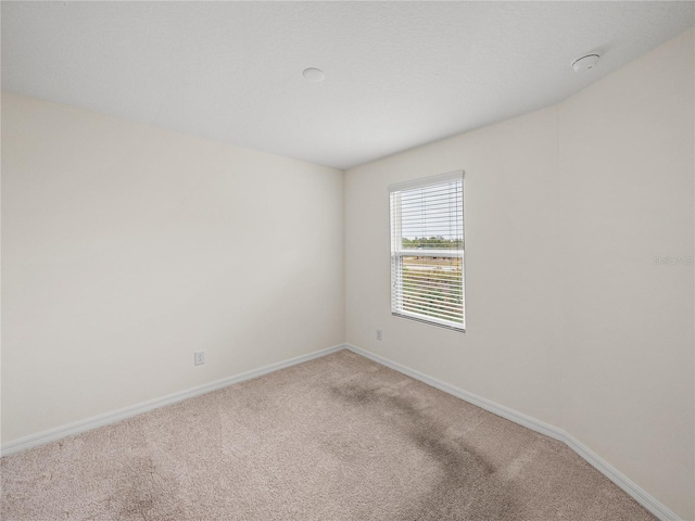 spare room with carpet