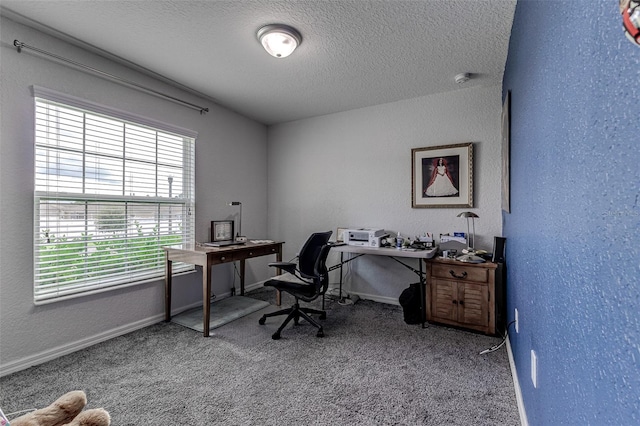 office space with carpet floors, a wealth of natural light, and a textured ceiling