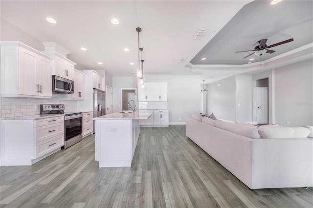 kitchen featuring sink, light wood-type flooring, appliances with stainless steel finishes, and a tray ceiling