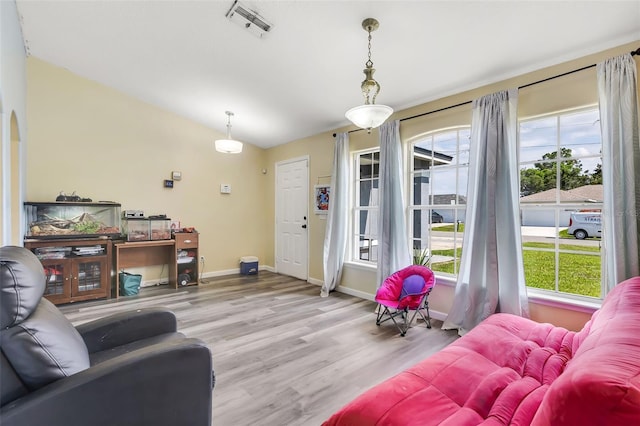 living room with hardwood / wood-style floors and lofted ceiling