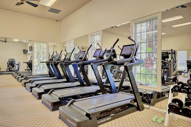 exercise room with carpet flooring, ceiling fan, and plenty of natural light