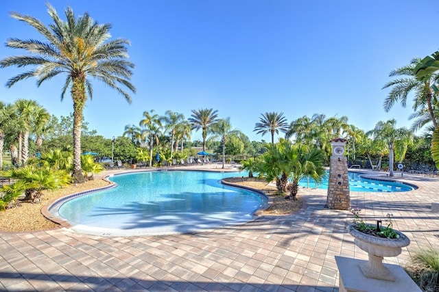 view of swimming pool featuring a patio