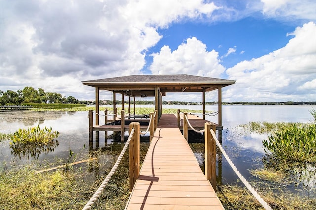 dock area with a water view