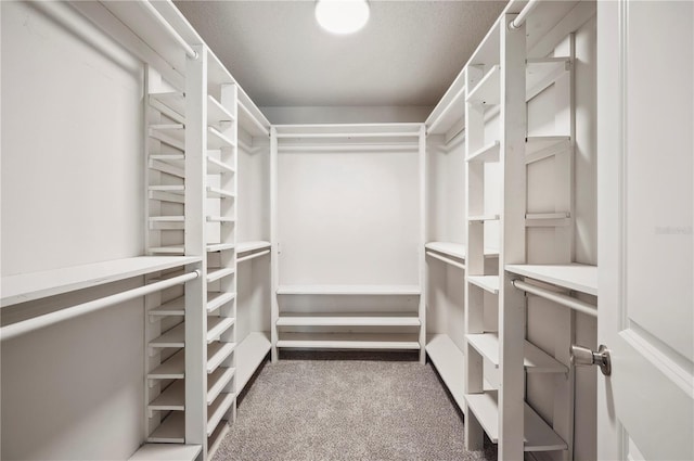 4500 Old Colony Rd, Mulberry, FL 33860 - spacious closet featuring carpet