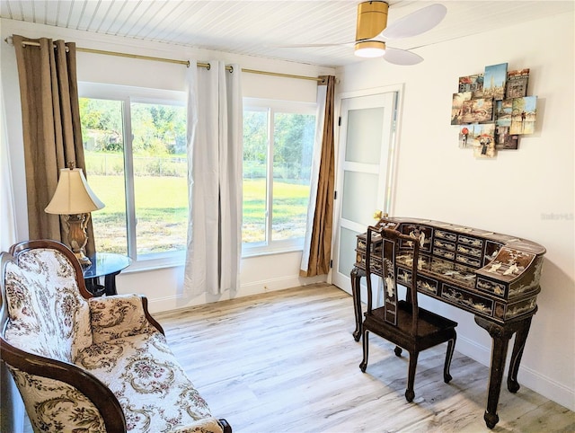 interior space with a healthy amount of sunlight and light hardwood / wood-style flooring