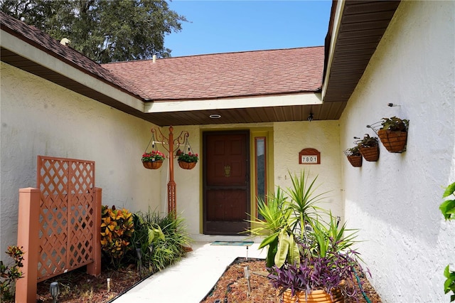 view of exterior entry with a shingled roof and stucco siding