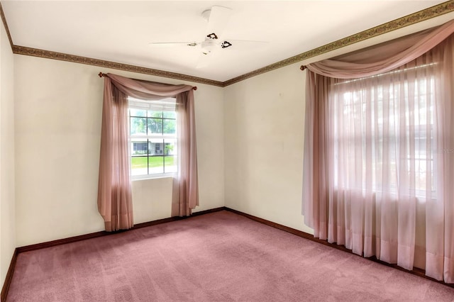 carpeted spare room featuring ceiling fan and crown molding