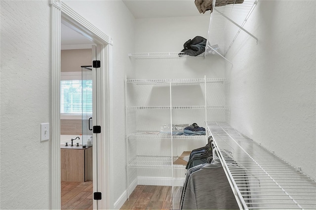 walk in closet featuring hardwood / wood-style flooring