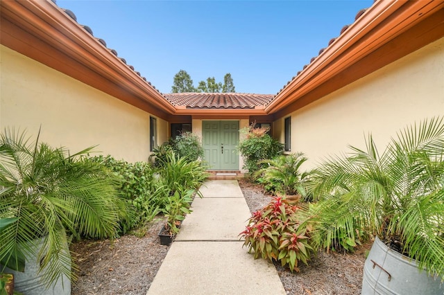 entrance to property featuring stucco siding and a tiled roof