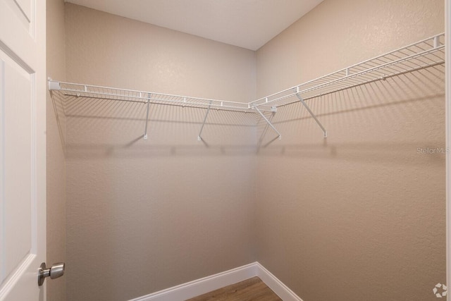 walk in closet featuring hardwood / wood-style flooring