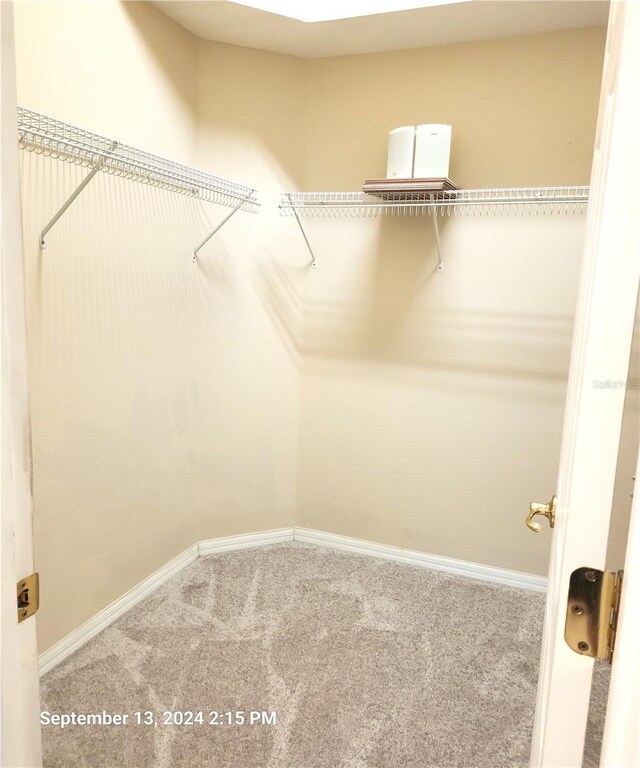 walk in closet with carpet floors