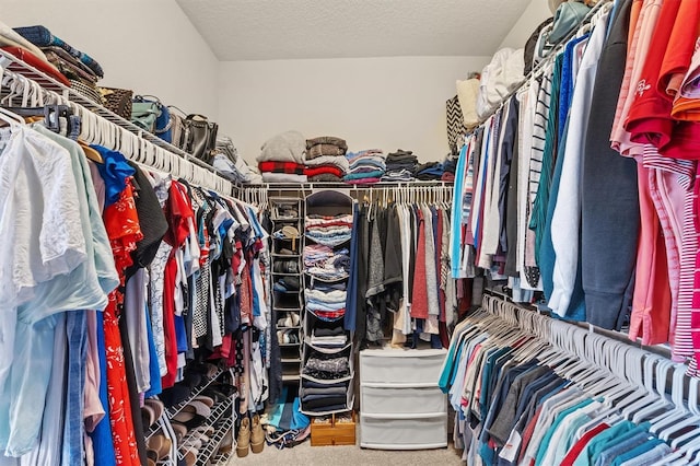 spacious closet featuring carpet flooring