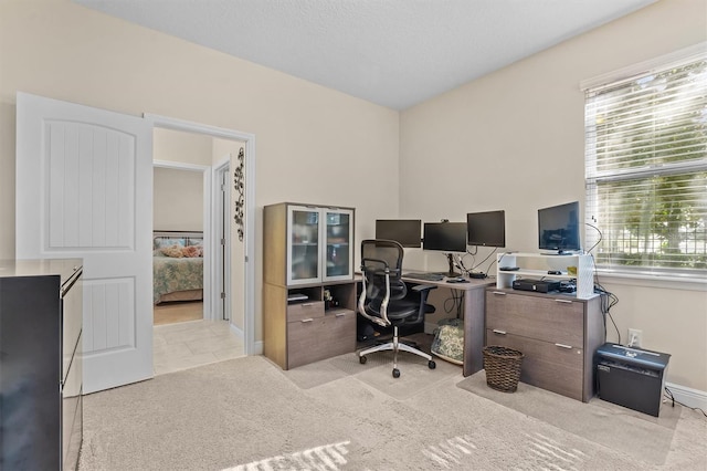 office featuring light colored carpet