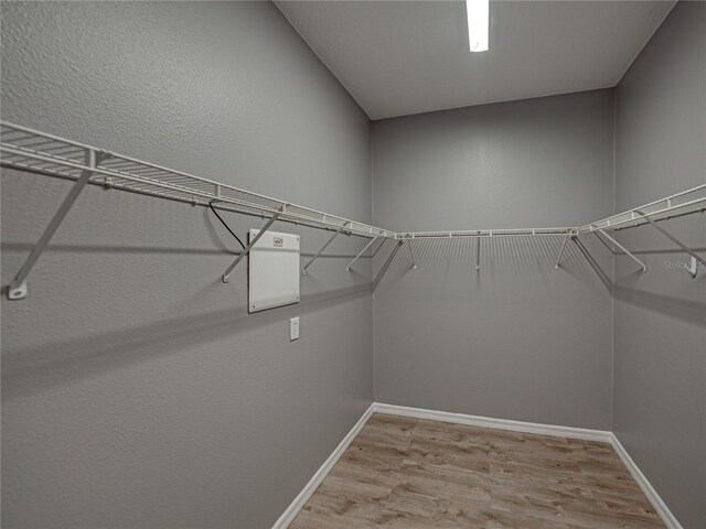 spacious closet featuring light hardwood / wood-style flooring