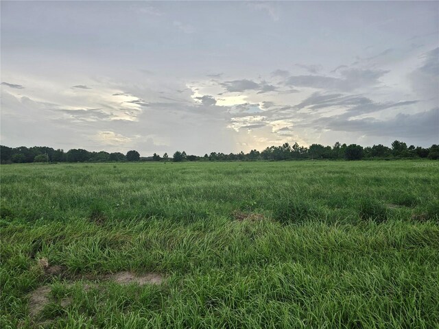 837 Campbell Rd, Fort Meade, FL 33841 - photo 1