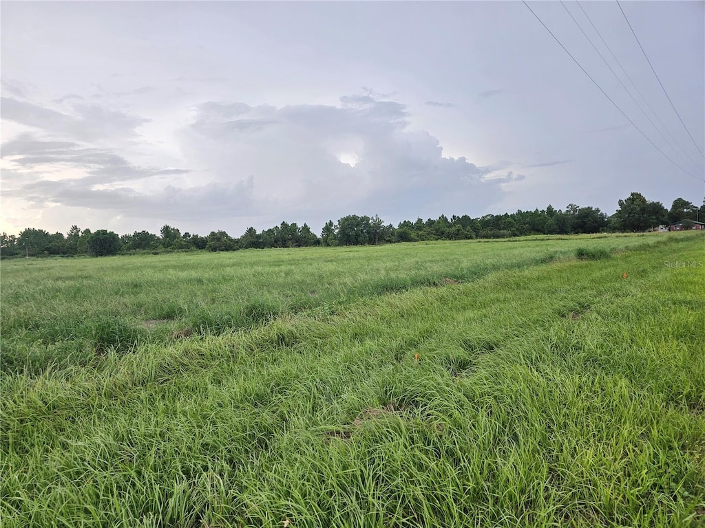 837 Campbell Rd, Fort Meade, FL 33841 - photo 4
