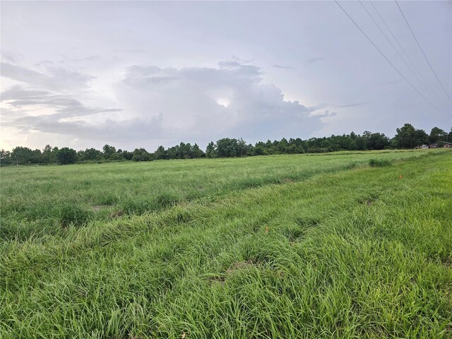 837 Campbell Rd, Fort Meade, FL 33841 - photo 4