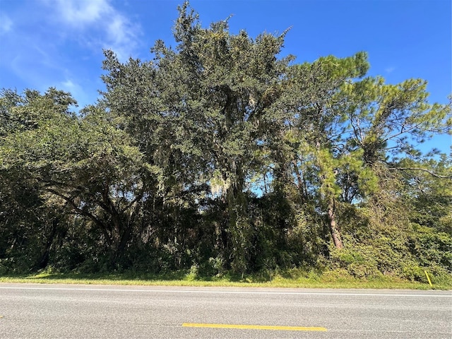 Treiman Blvd, Webster FL, 33597 land for sale