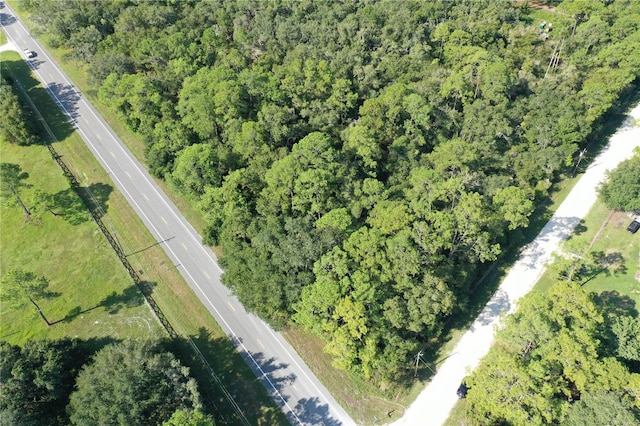 Listing photo 3 for Treiman Blvd, Webster FL 33597