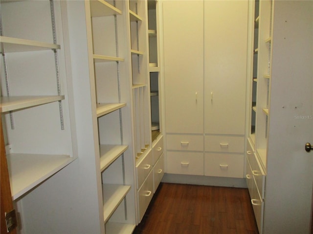 walk in closet with dark wood finished floors