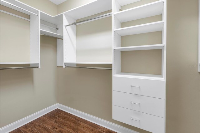 walk in closet with dark wood-type flooring