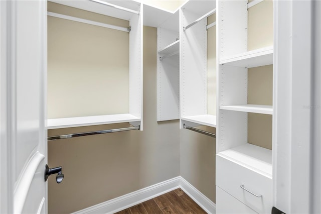 spacious closet featuring dark hardwood / wood-style floors