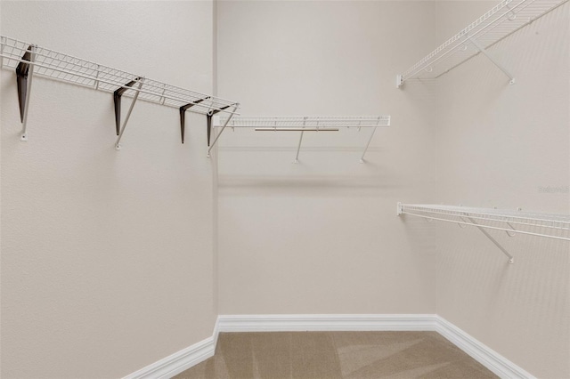 spacious closet with carpet flooring