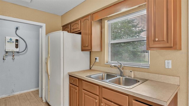 kitchen with light hardwood / wood-style flooring, sink, and white refrigerator