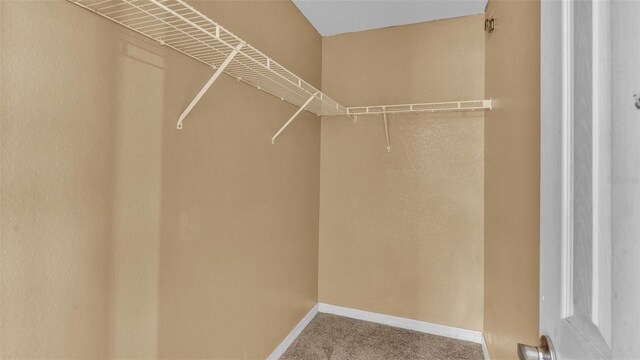 spacious closet featuring carpet flooring