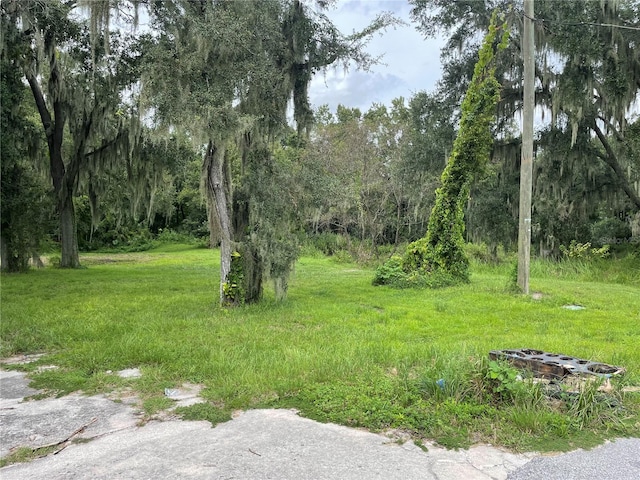 3360 Royal Oak Dr W, Mulberry FL, 33860 land for sale