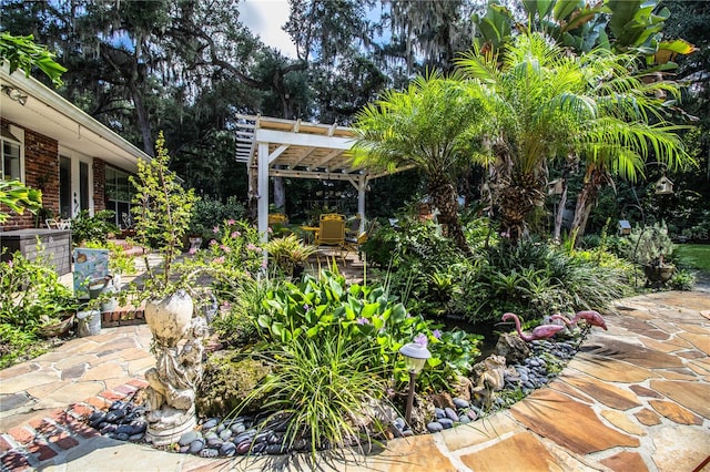 view of yard featuring a pergola and a patio