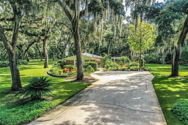 view of community featuring a lawn