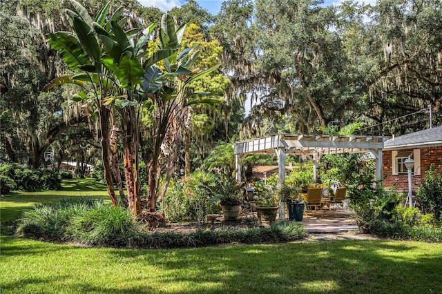 view of yard featuring a pergola