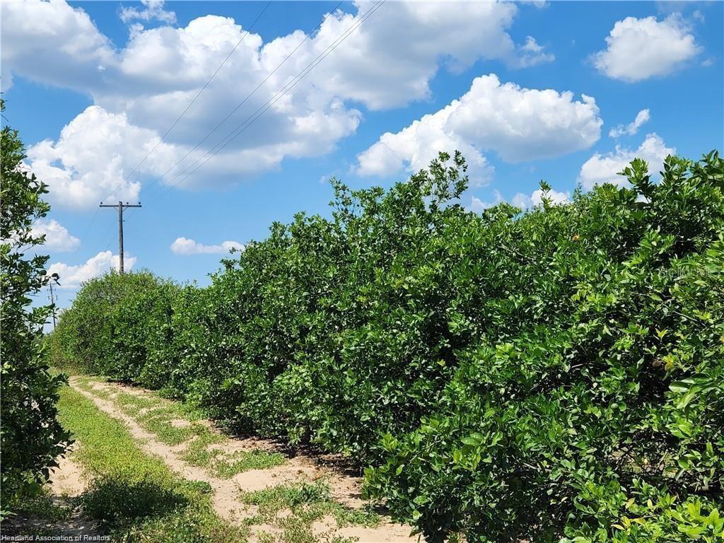 700 Sheriffs Tower Rd, Sebring, FL 33870