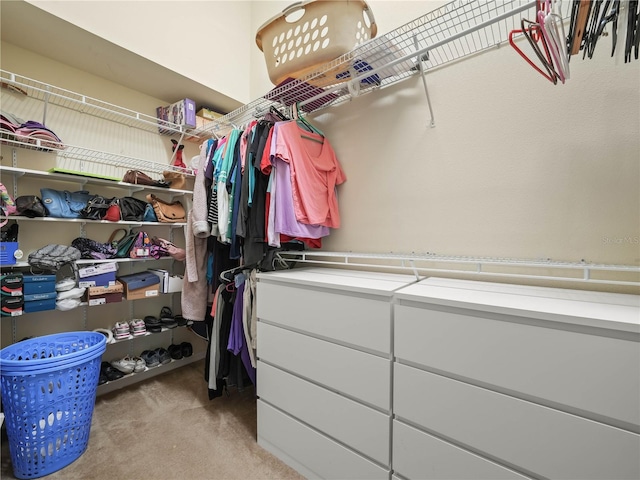 view of walk in closet