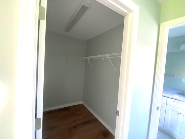 spacious closet featuring dark wood finished floors