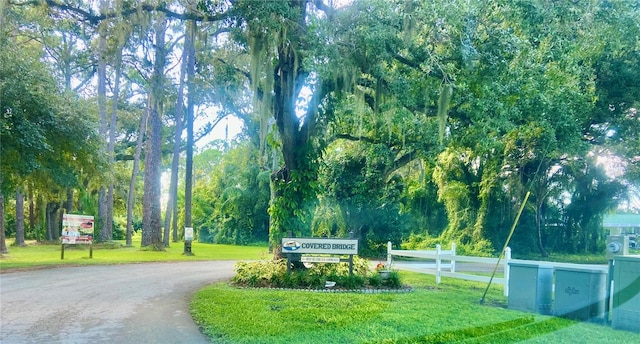 view of community with driveway and a yard