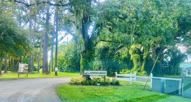 10481 High Grove Ave, Lake Placid, FL 33852 - photo 25