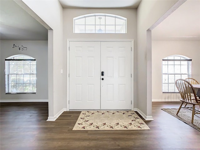 entryway featuring dark hardwood / wood-style floors and a healthy amount of sunlight