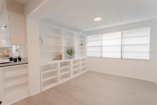 interior space with light wood-type flooring