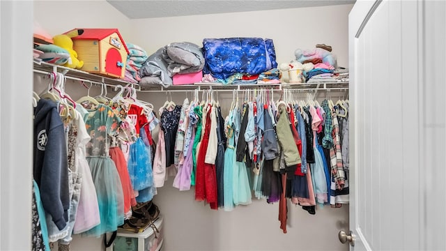 view of walk in closet